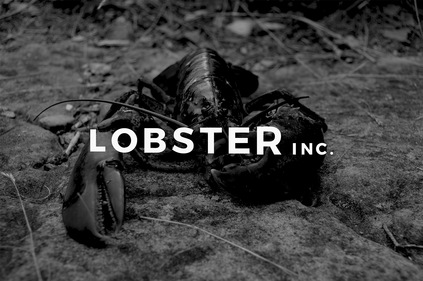 LOBSTER INC.